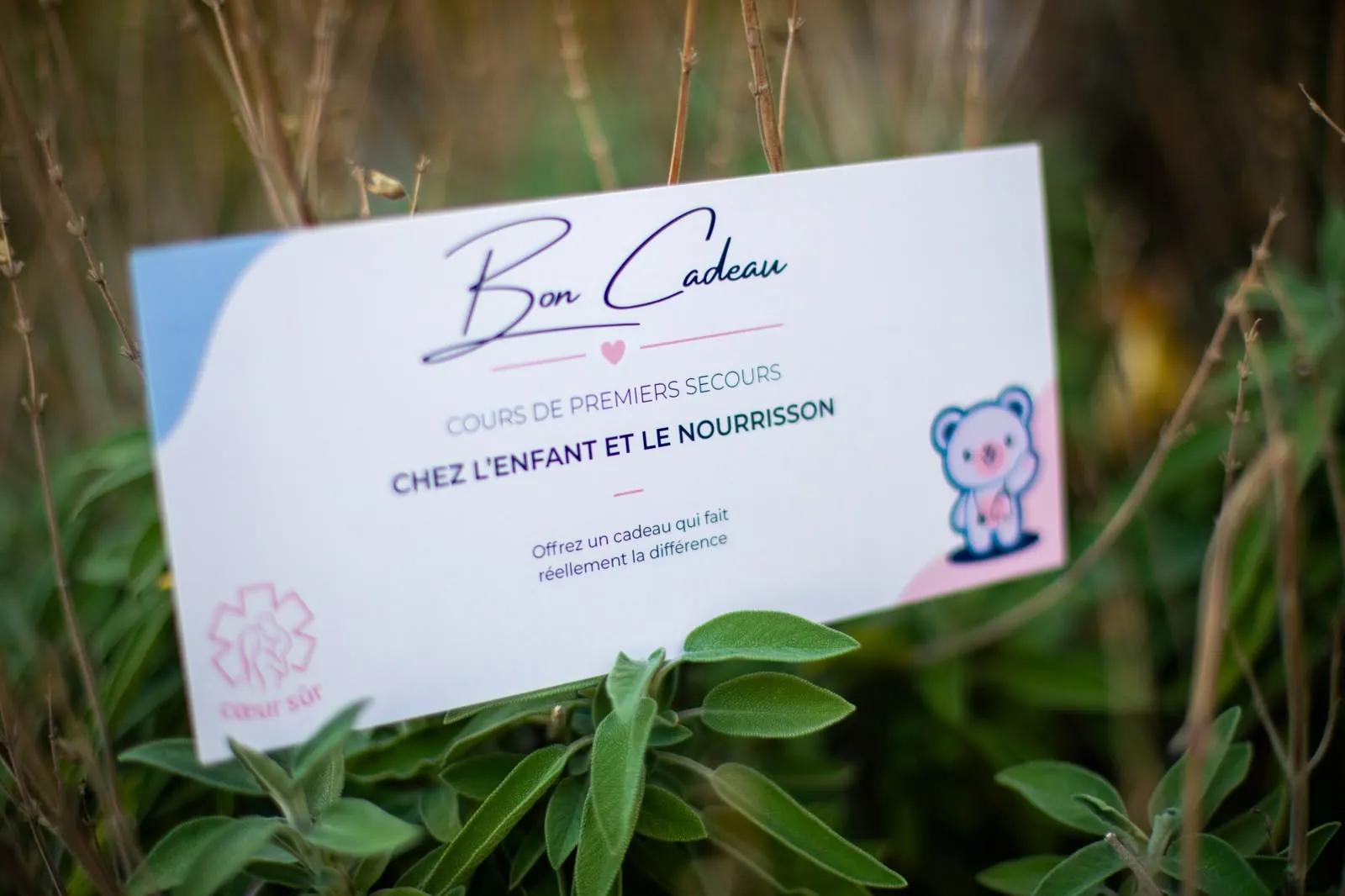 Le bon cadeau Cœur Sûr posé dans la verdure, avec l'inscription « Cours de premiers secours chez l'enfant et le nourrisson »