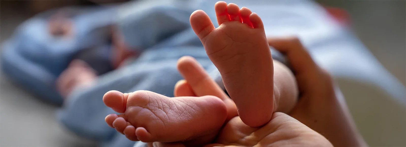 Les pieds nus d'un nouveau-né tenus dans les mains d'un adulte